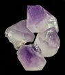 Amethyst Crystal (Wholesale Lot) - Crystals #59935-1